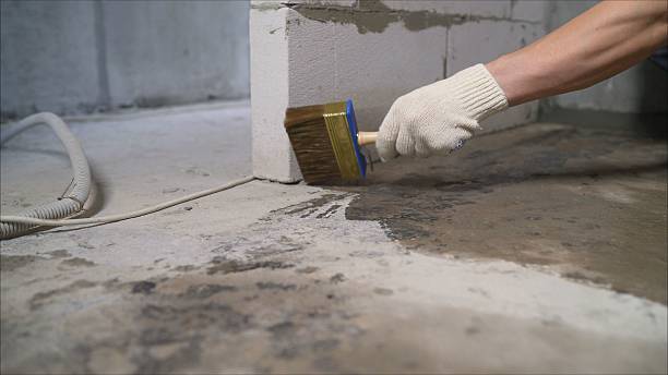 SJ Waterproofing Pros Crawl Space Encapsulation coverage map for Palo, MI and surrounding area